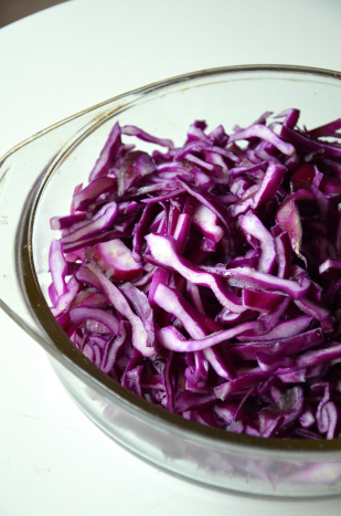 Fermentieren