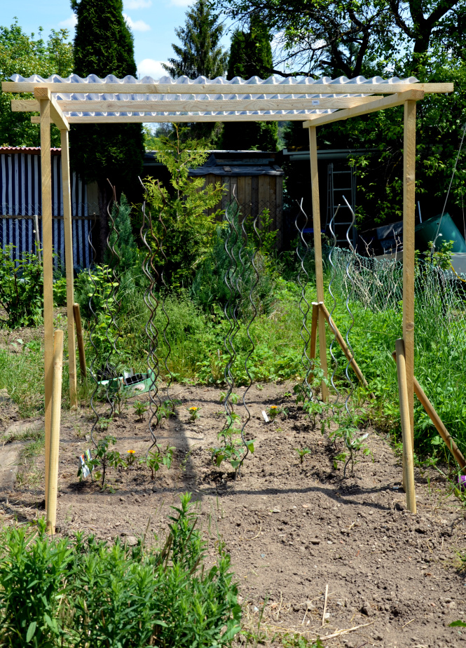 Tomatendach