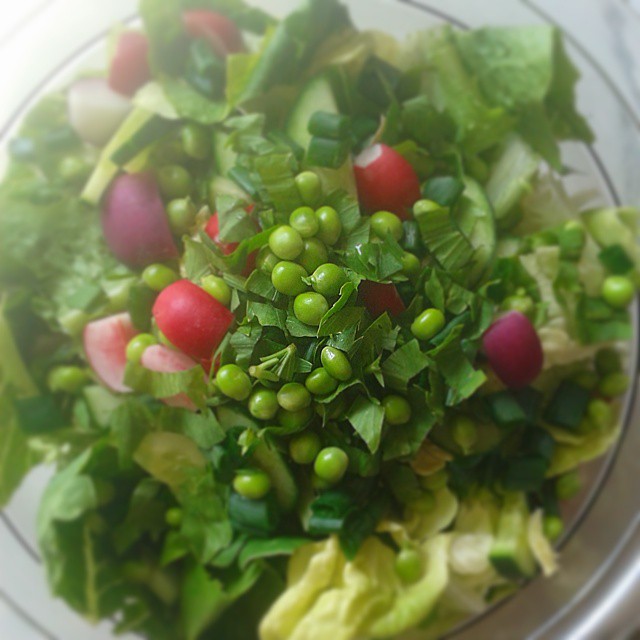 Romaine, peas, pink & purple radishes, herbs - all from our garden! Now off to #bbq with some friends. Hope they like it. 
#saladsofinsta #vegansofig #vegansofinsta